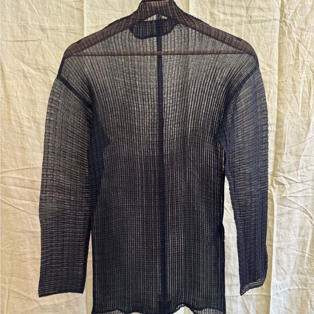 Issey Miyake sheer pleated top
